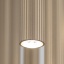 11494 FERRO SABIA CHAMPAGNE RIPPUVAD 10XG9