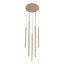 11494 FERRO SABIA CHAMPAGNE RIPPUVAD 10XG9