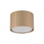 11657 FERRO CHAMPAGNE DOWNLIGHT+ GX53