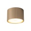 11657 FERRO CHAMPAGNE DOWNLIGHT+ GX53