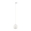 11661 TRACER 2-faasilised WHITE WHITE GLASS 1XG9