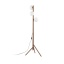 16045  ESTERA WOOD ORZECH LAMPA PODŁOGOWA 3