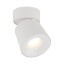 18151 KYOTO WHITE CCT 7W