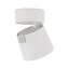 18153 KYOTO WHITE CCT 12W