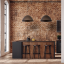 4509  FARO BROWN LAMPA WISZĄCA 1 500