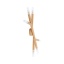 4525  NOBLE LAMPA SUFITOWA 6