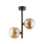 4528  ESTERA BROWN 2