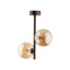 4528  ESTERA BROWN 2