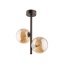 4528  ESTERA BROWN 2
