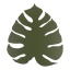 4668 MONSTERA GREEN
