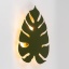 4668  MONSTERA GREEN KINKIET 3 G_9