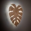 5422  MONSTERA WOOD DĄB KINKIET 3 PŁ