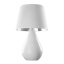 5453  LACRIMA WHITE