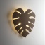 5822  MONSTERA XL BROWN KINKIET 4  G_9
