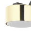 6090 DALLAS GOLD/BLACK