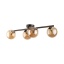 6104  ESTERA BROWN 4