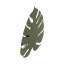 6435  MONSTERA XL GREEN KINKIET 4  G_9