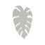 6436  MONSTERA XL BEIGE KINKIET 4  G_9