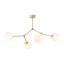 6470 FAIRY GOLD
